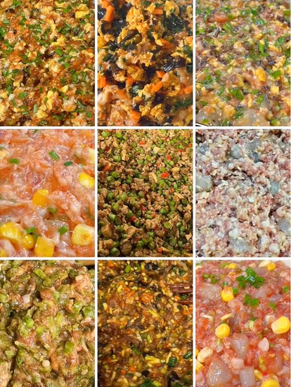 Machine sèche de mélangeur de ruban de poudre de nourriture machine de mélangeur de double spirale de poudre