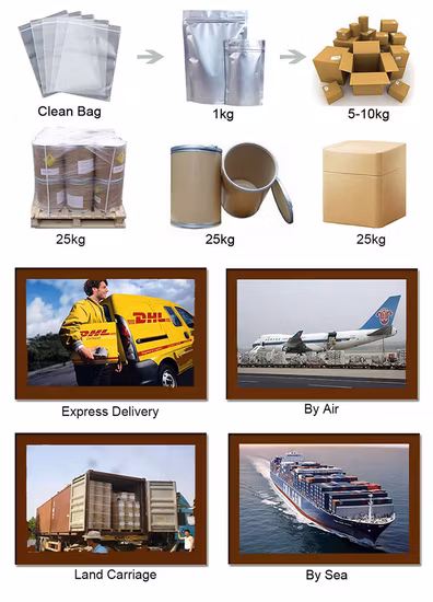 Extrait de fines herbes fait sur commande d'usine de Wellgreen extrait de nénuphar de poudre d'araignée rouge d'ampoule